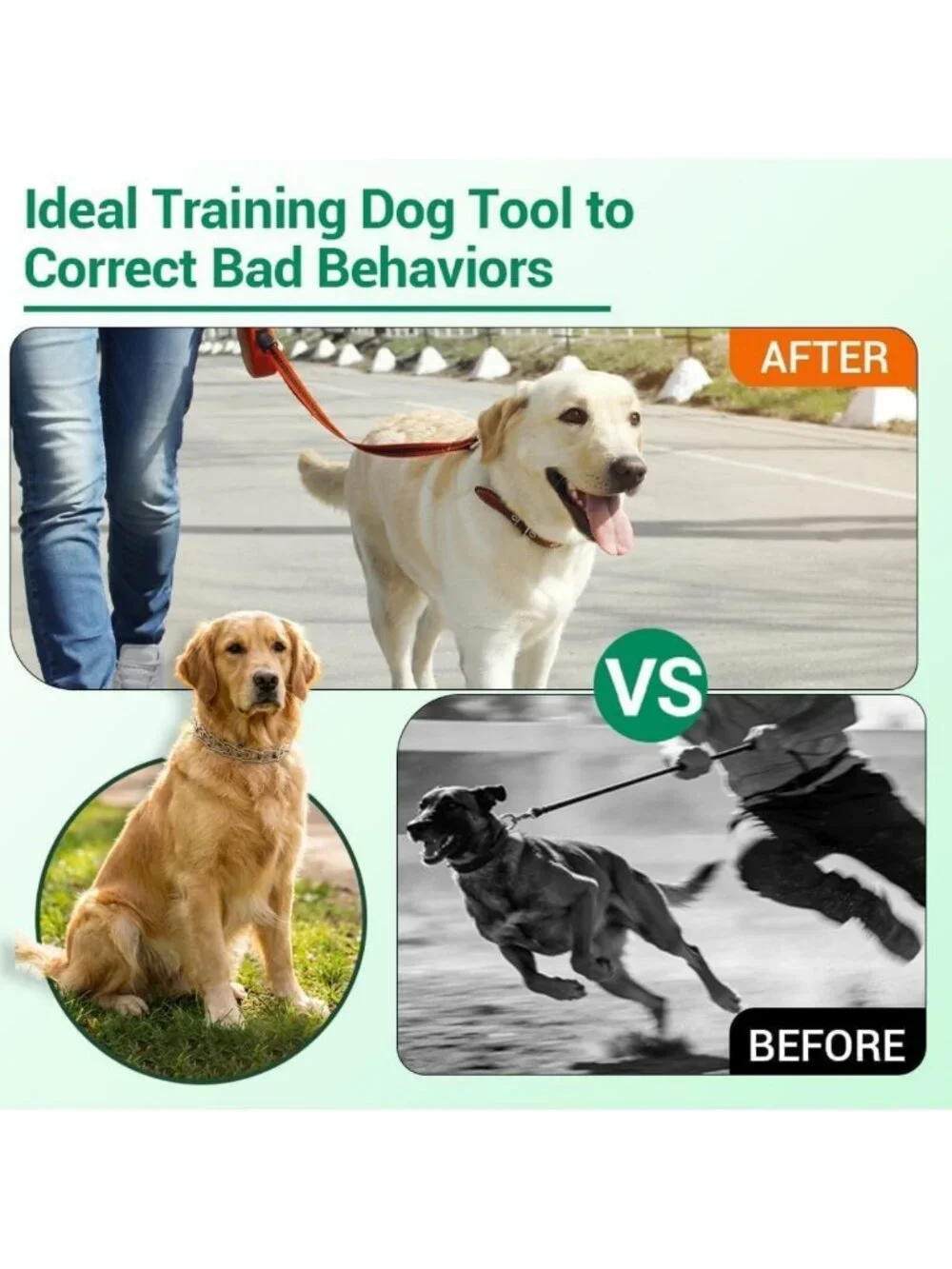 Adjustable No Pull Dog Training Collar with Comfort Tips for Small to XL Dogs